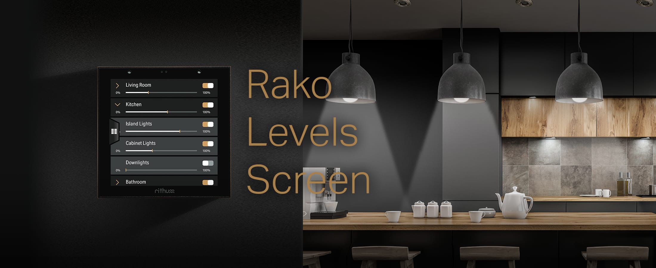 Rako Levels Screen